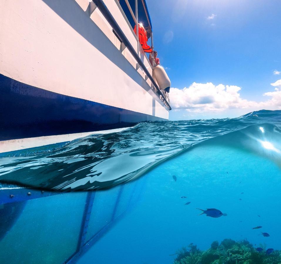 Enigmatic Hotel Experience كانكون المظهر الخارجي الصورة